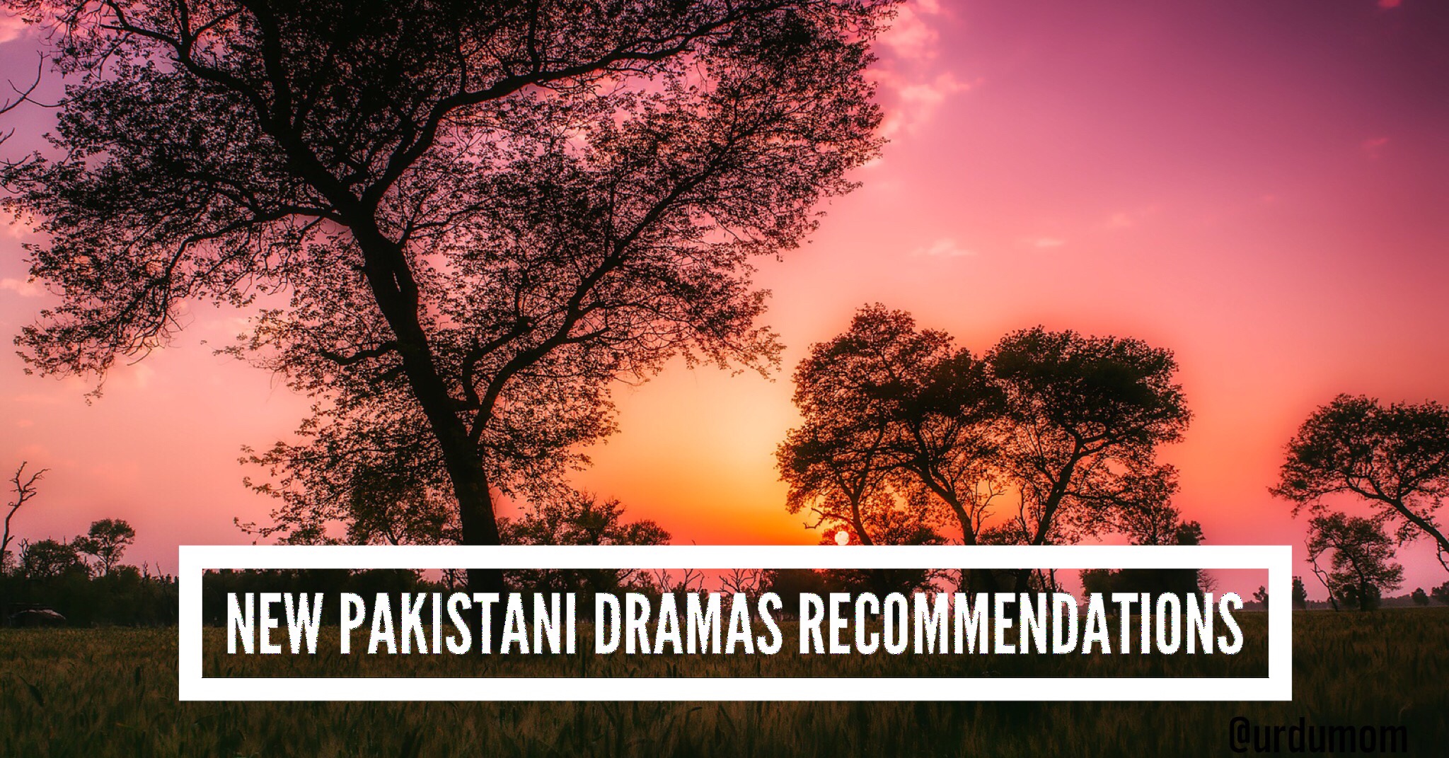 Pakistani Dramas Recommendations
