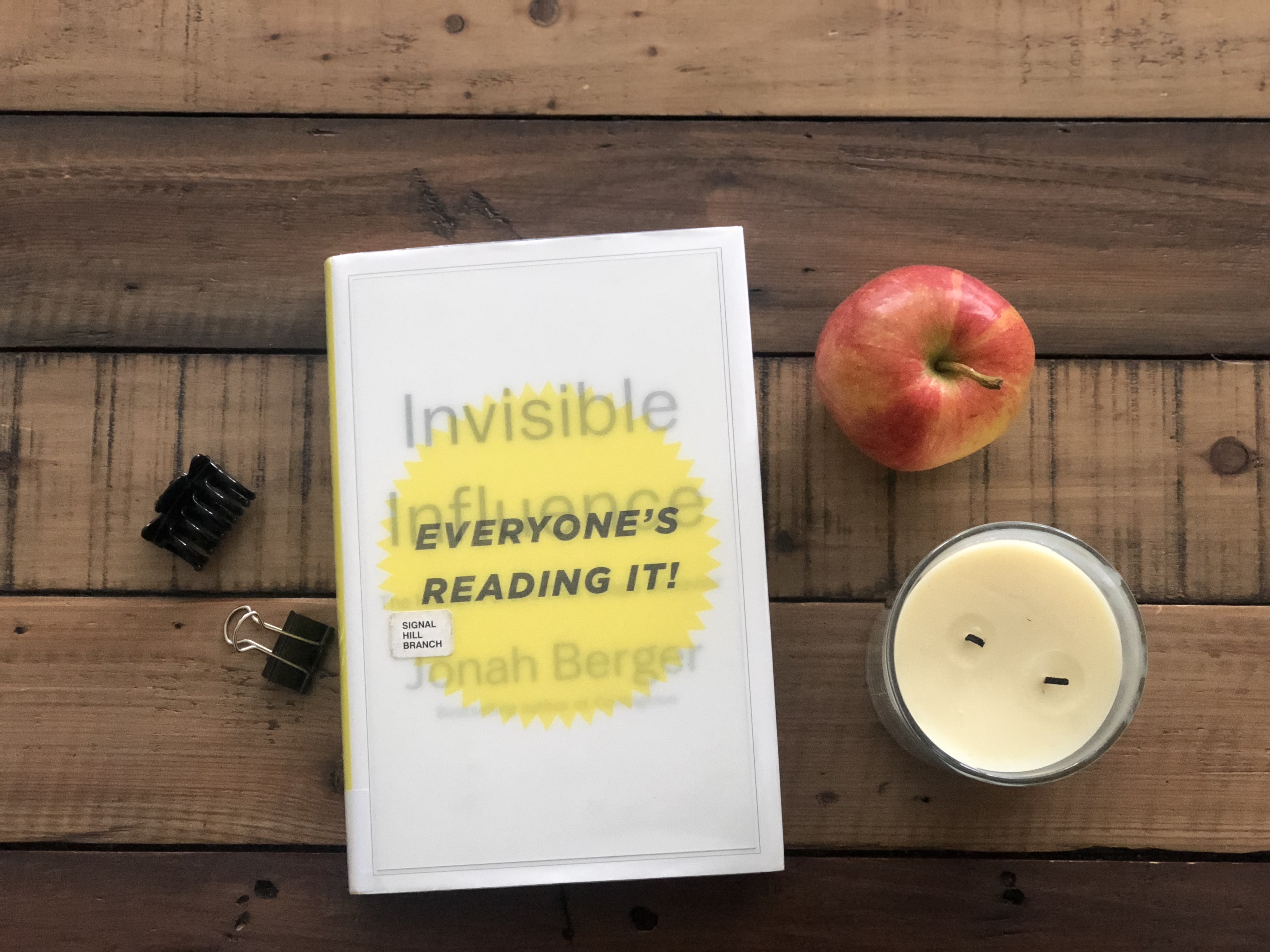 Invisible Influence Book Review